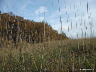 rra delle Concazze-01-01-2009 03-15-57